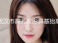 武汉市鼻孔改形鼻基抬高整形外科价格表（多少钱）一览(12月-5月均价为：8902元)
